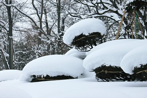雪座布団