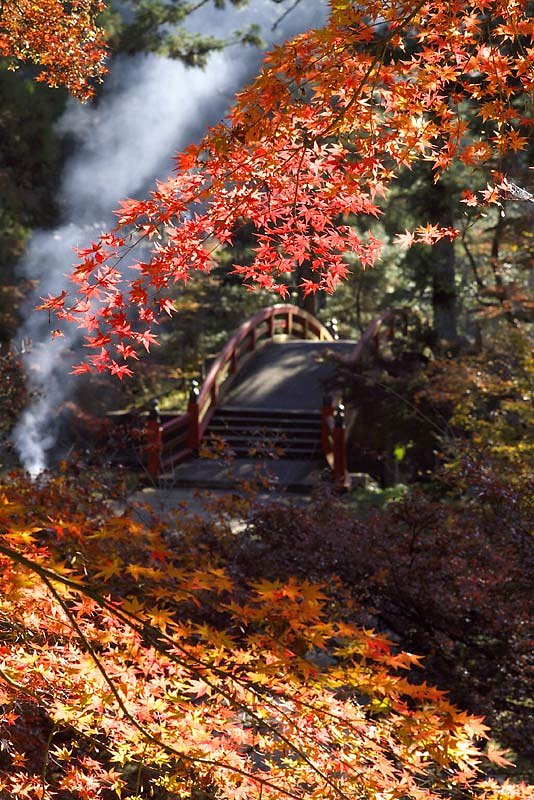 近くのお寺です