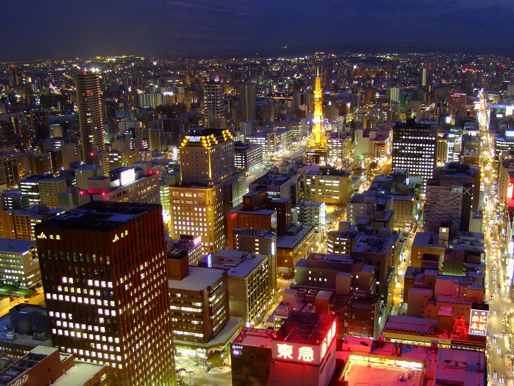 札幌の夜景