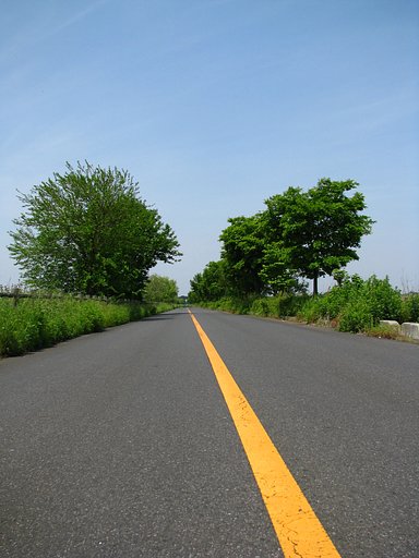 【質】どこまで続くのぉ〜
