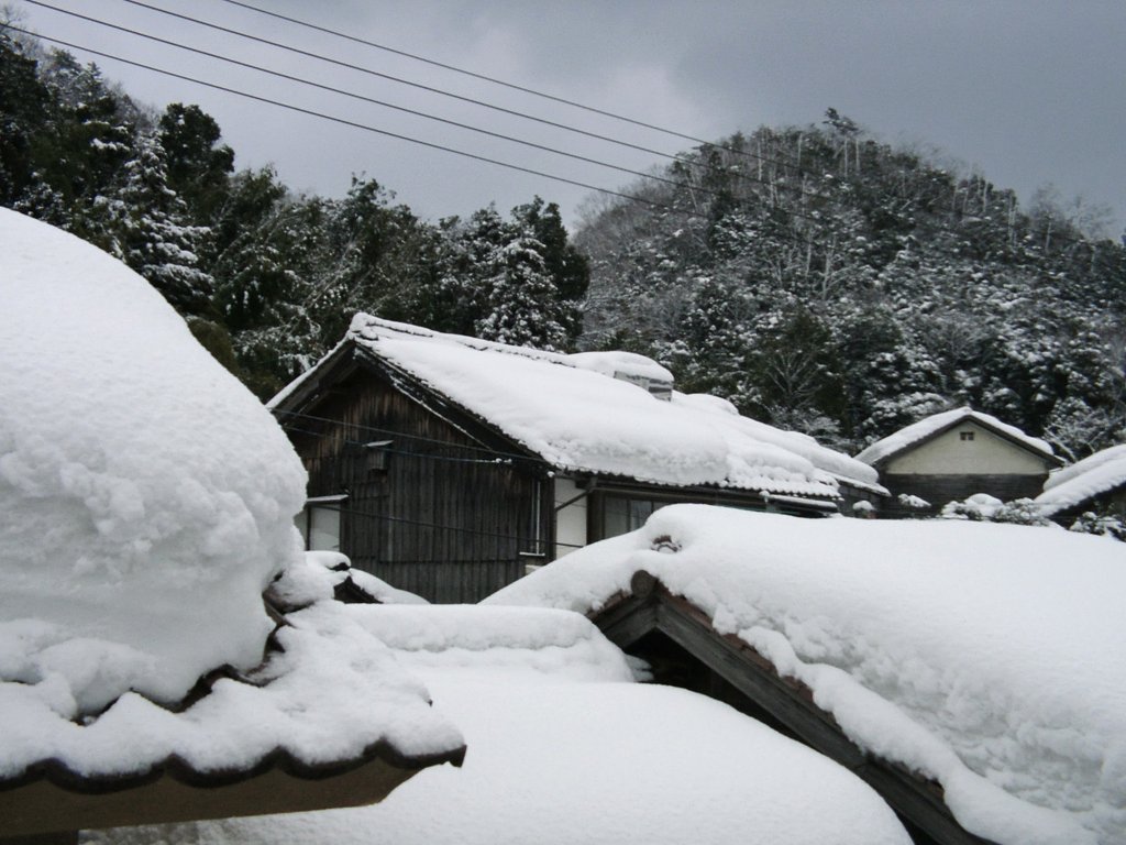 屋根の大雪!