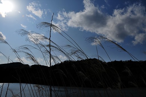 ♪北風小僧〜の寒太郎〜・・・♪