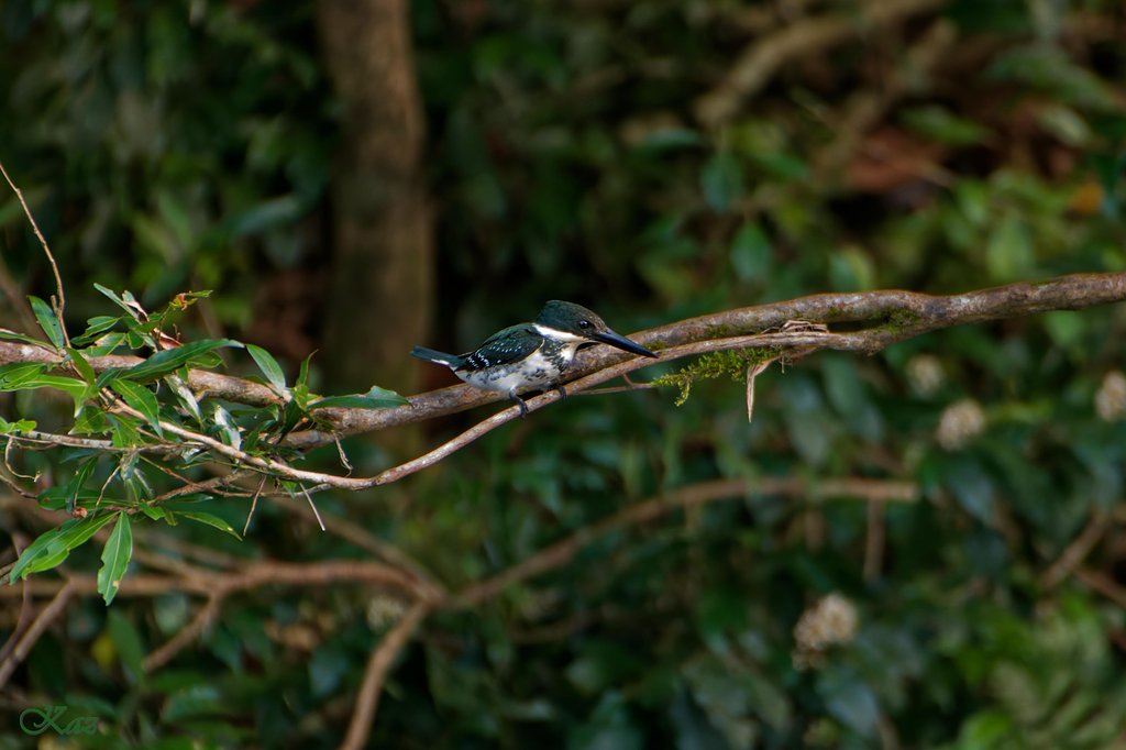Costa Rica 04