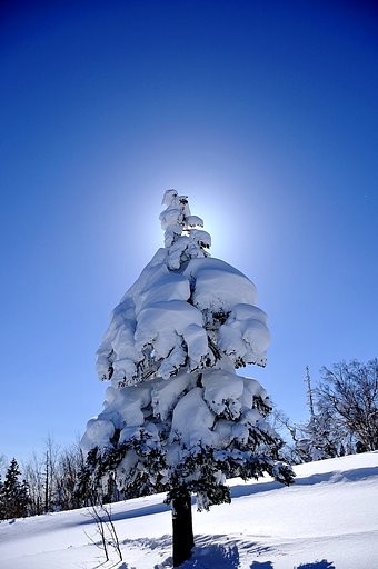太陽を背に
