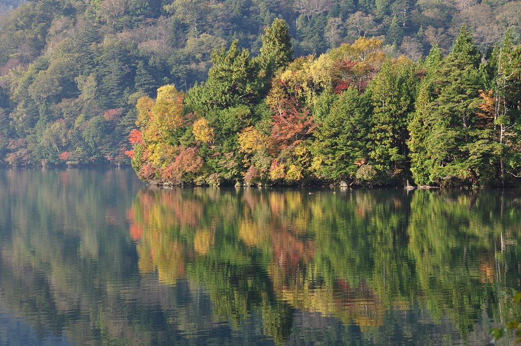 見切り紅葉
