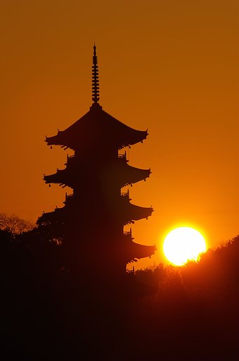 国分寺の夜明け
