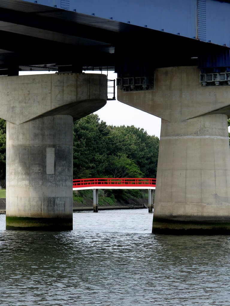 橋と橋