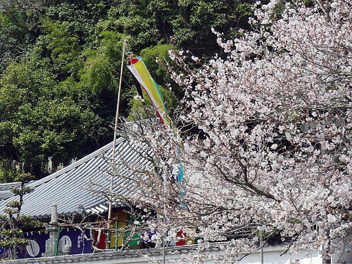 【おだやかな・・春】色即是空