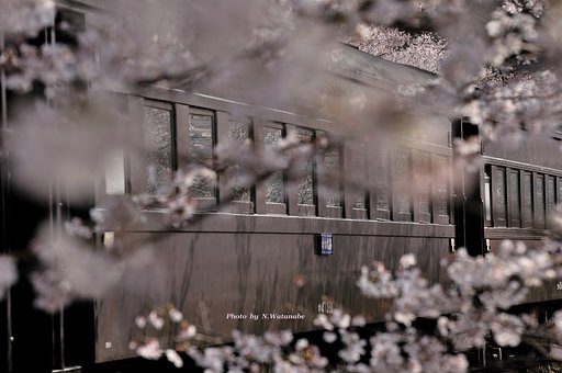 夢をのせて