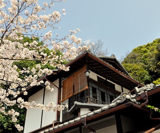 神田川沿いの風景