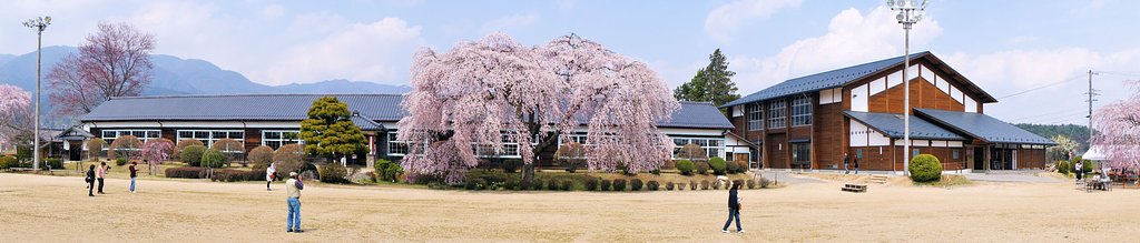 【おだやかに・・・春】 パノラマ杵原学校桜・満開