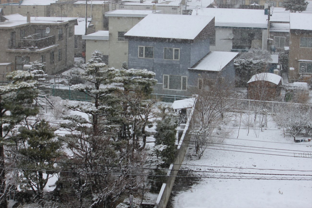 春の吹雪