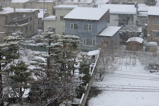 春の吹雪
