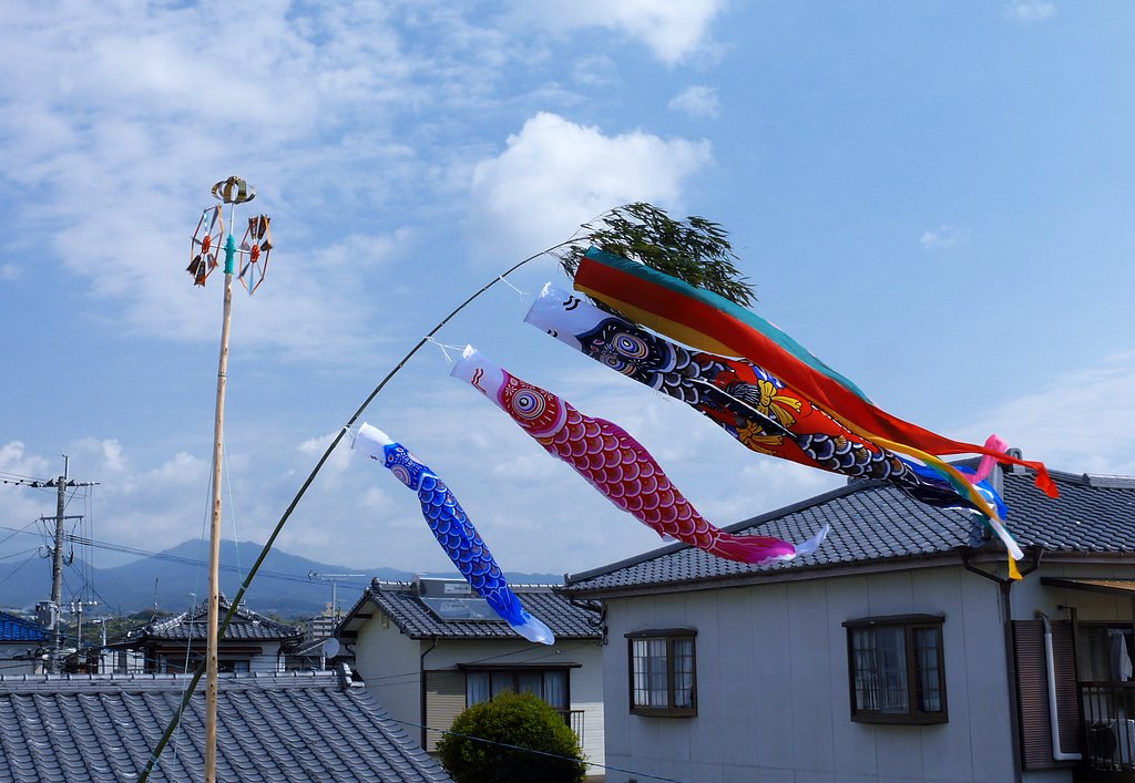 屋根より高い