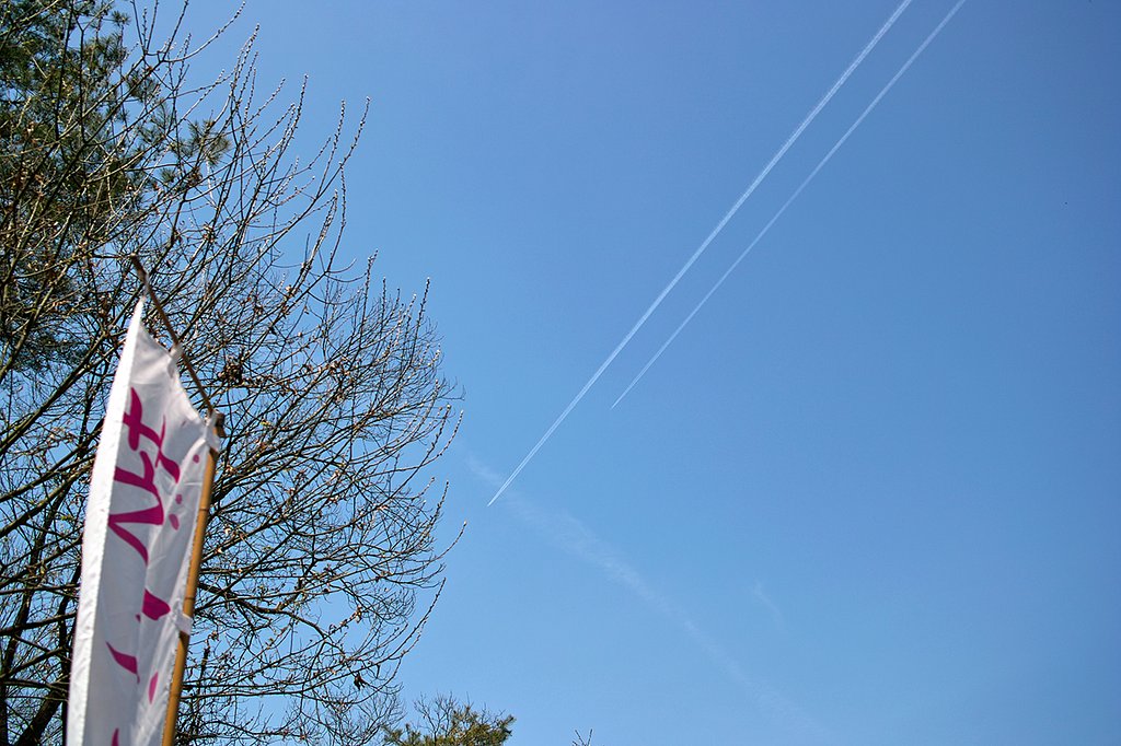 【おだやかに・・・春】上空のゴール