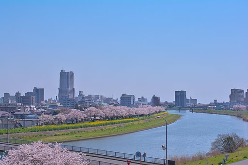 我が故郷よ・・・