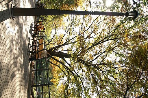 日比谷公園