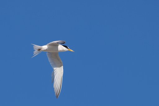 【この色好き！】空の色