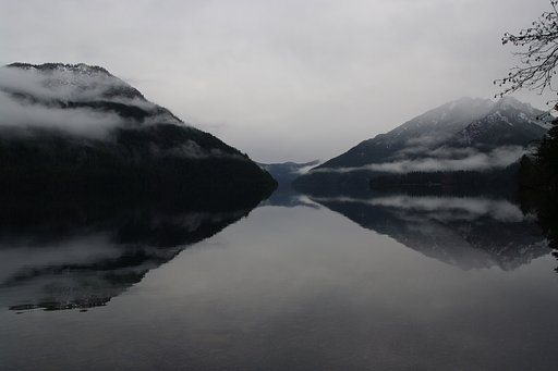 Xの景色