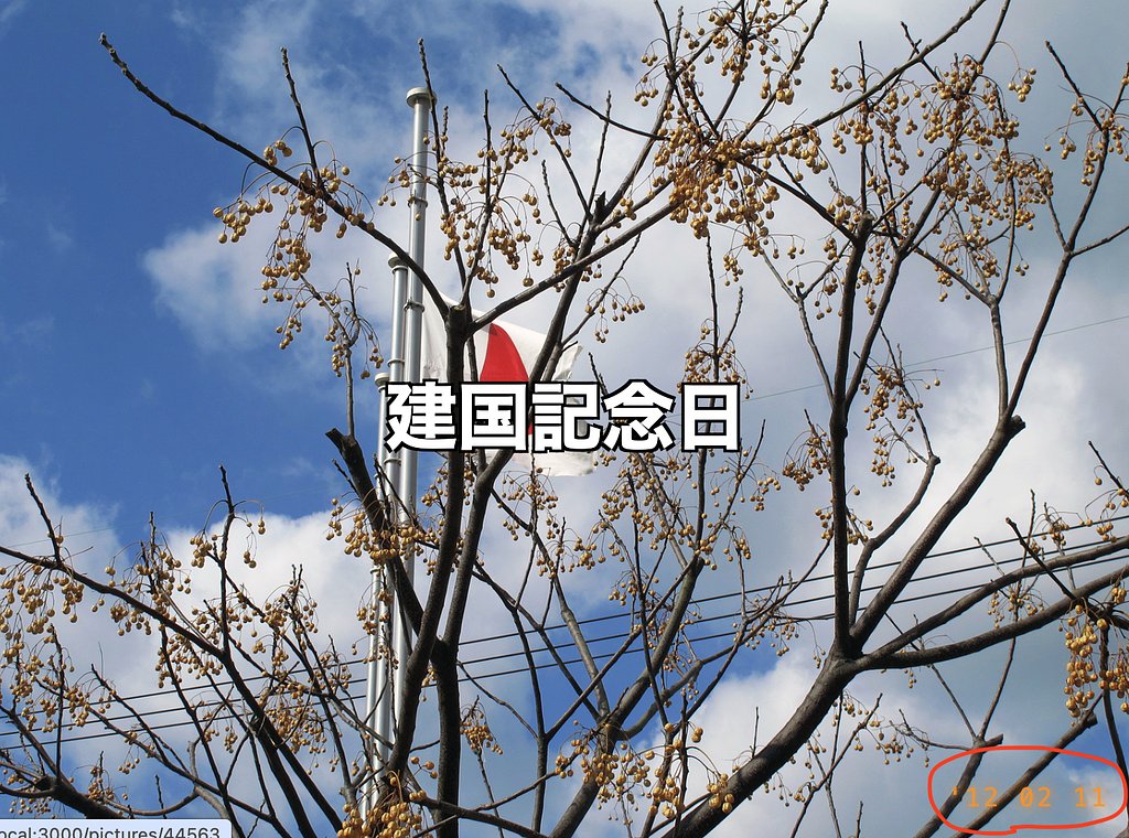 トップページに過去の同じ日付の写真を表示