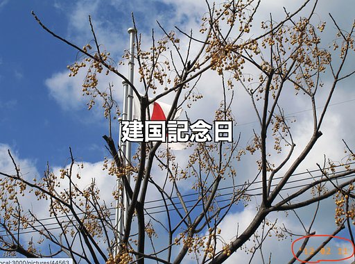 トップページに過去の同じ日付の写真を表示