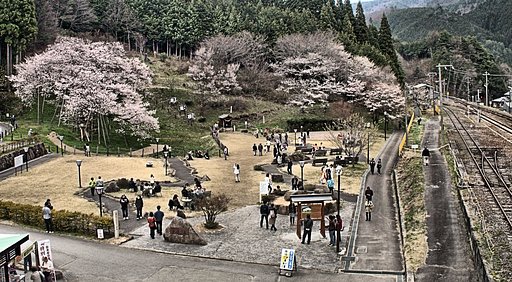 【質】　臥龍桜公園