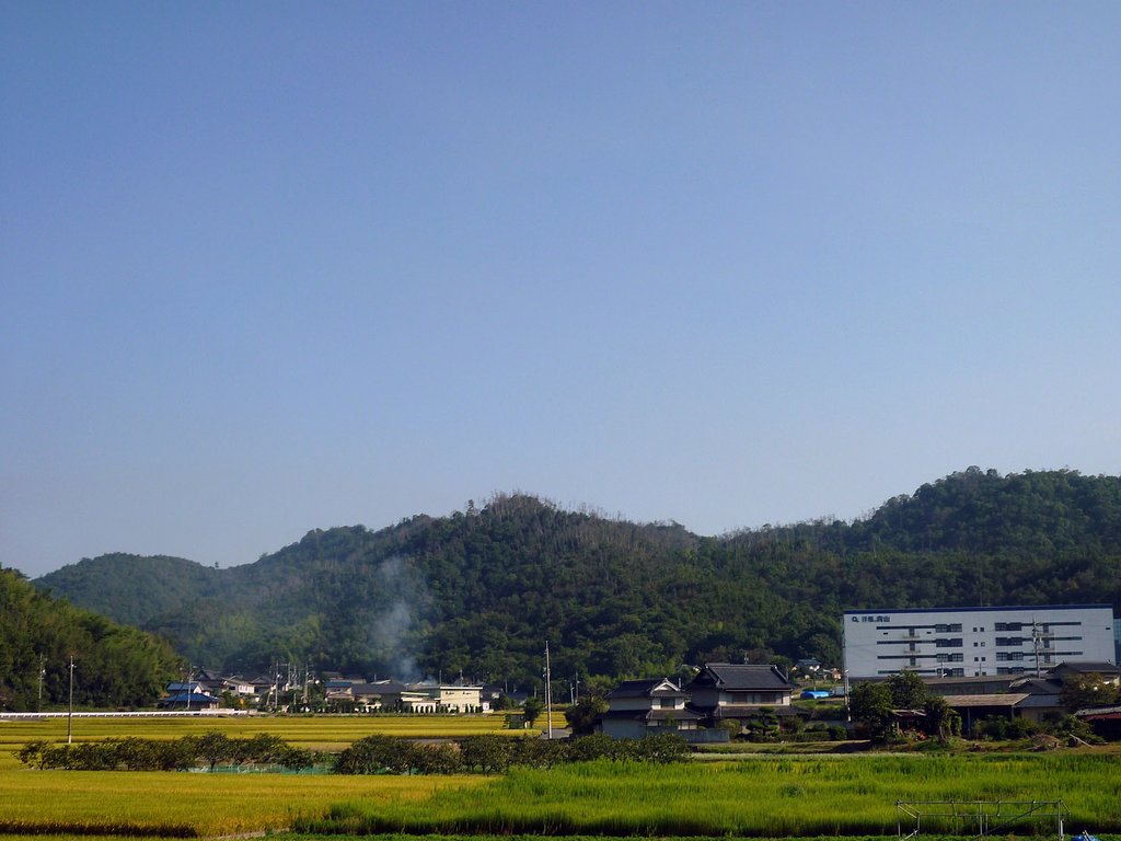 田舎の朝