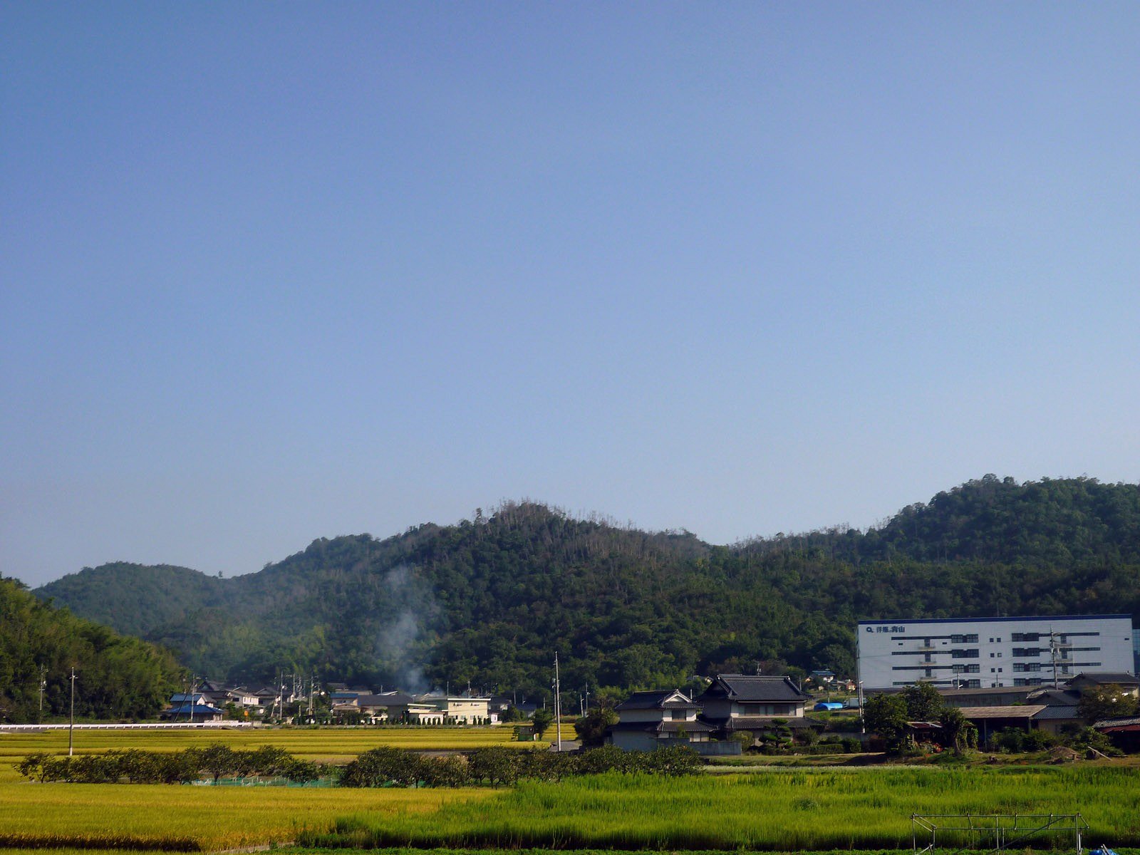 田舎の朝