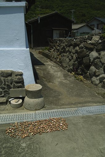 瀬戸の内海