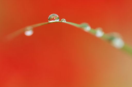 燃えに萌え