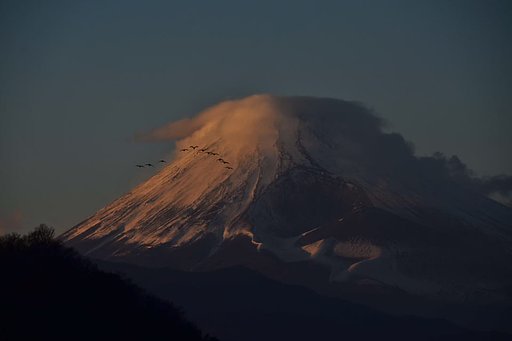 2010大晦日　富士に鵜の群れ飛ぶ