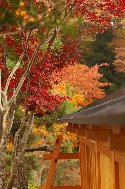 榛名神社出てすぐ