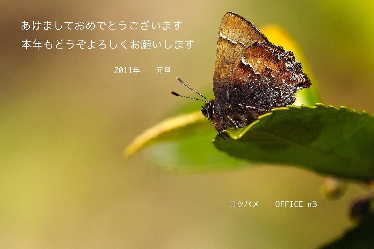 新年のごあいさつ