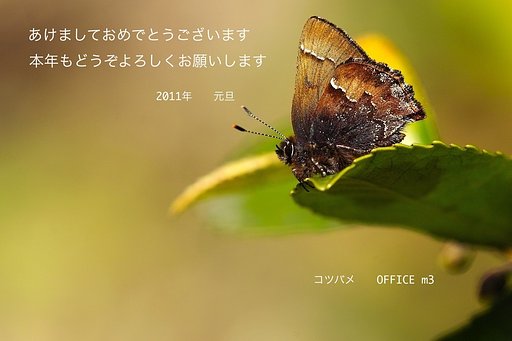 新年のごあいさつ