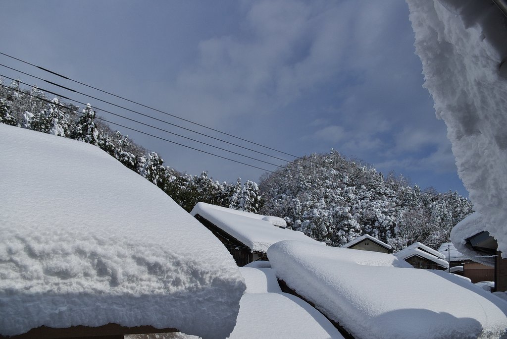 こんなに大雪が降ったのどこ?