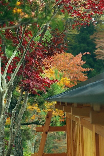 榛名神社出てすぐ（4367：さらにレタッチ）