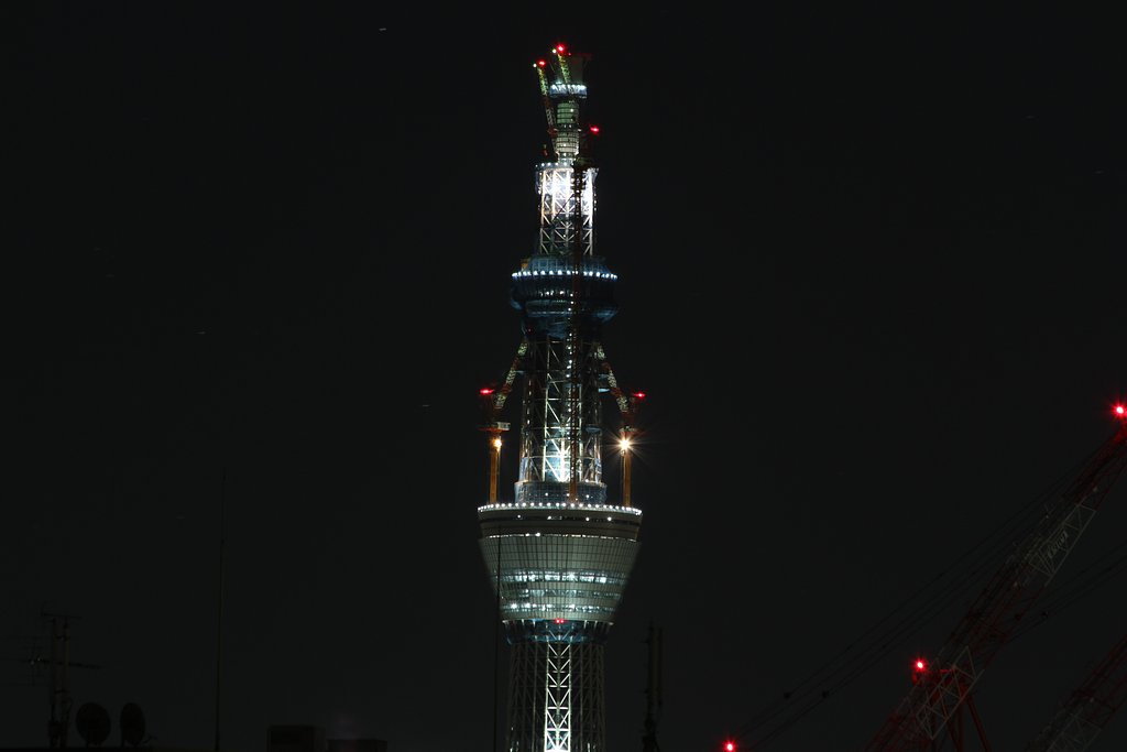 新年の東京スカイツリー