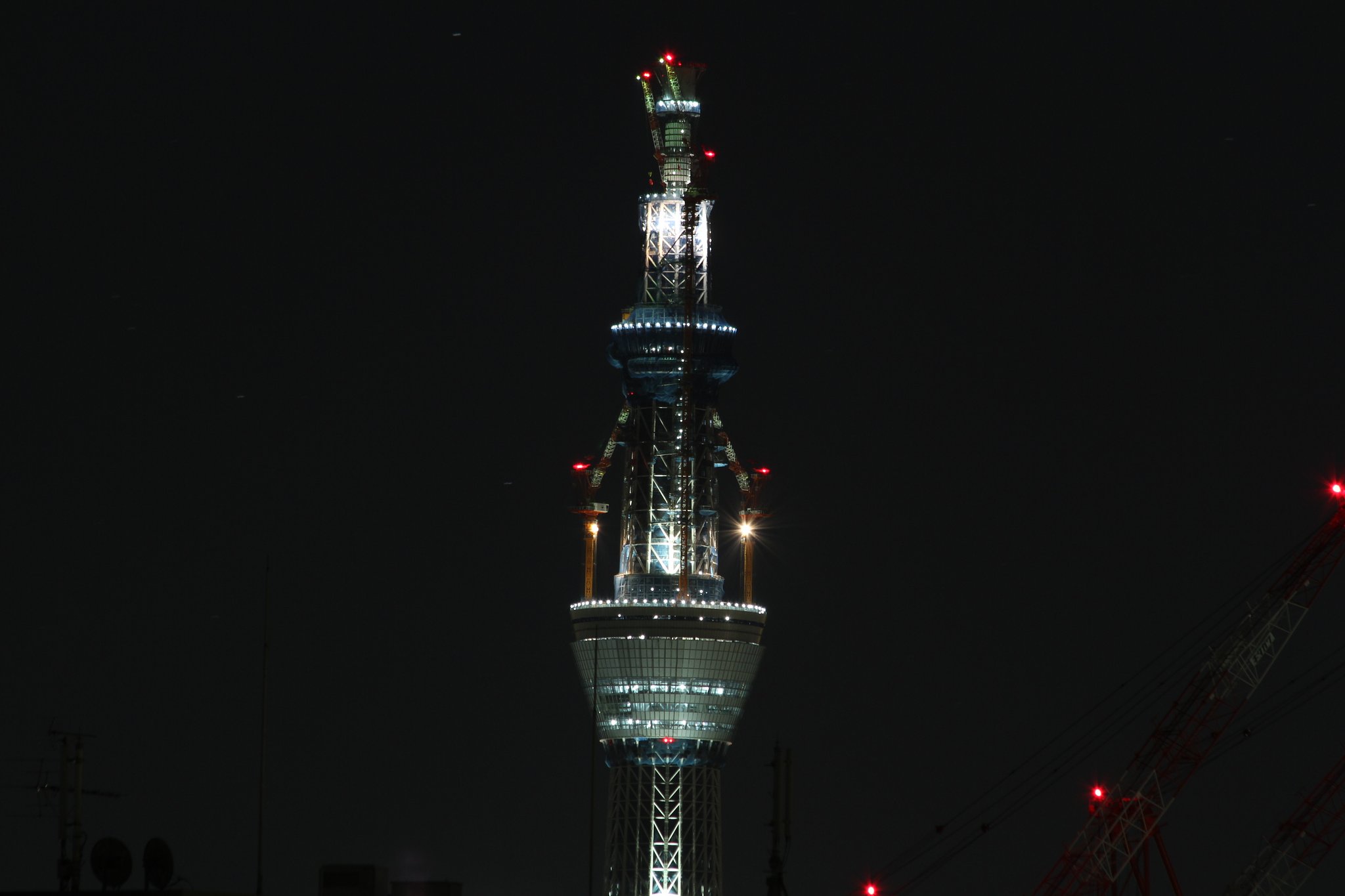 新年の東京スカイツリー