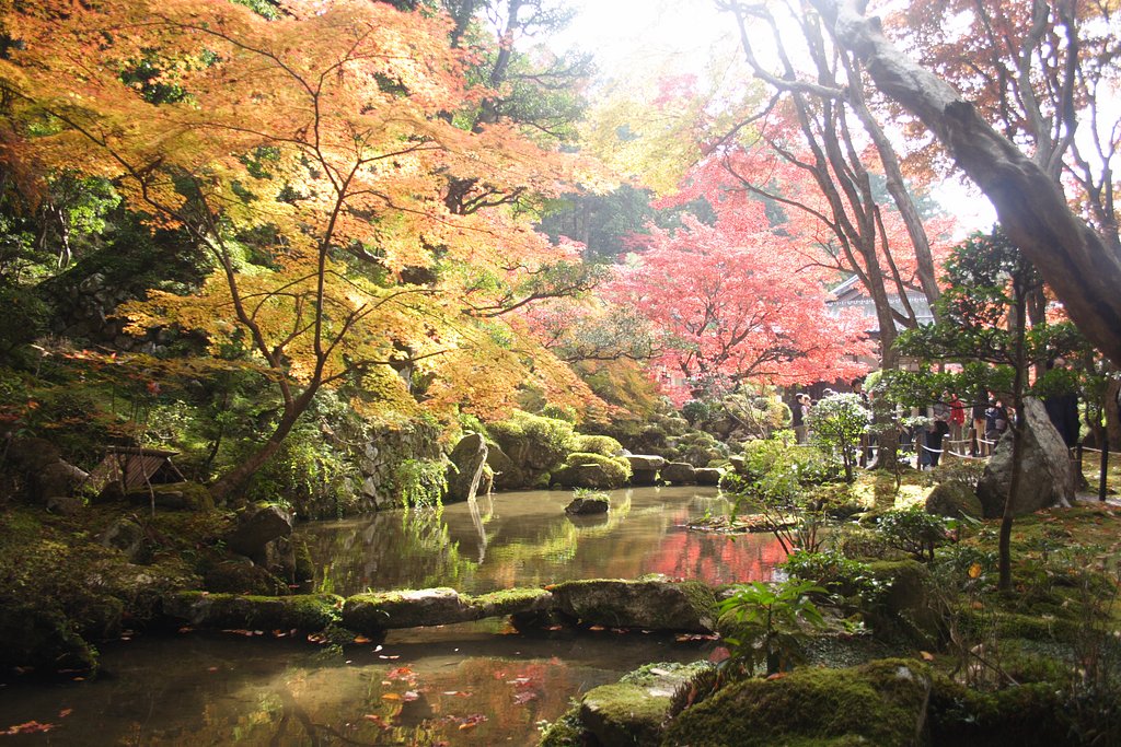 金剛輪寺の紅葉