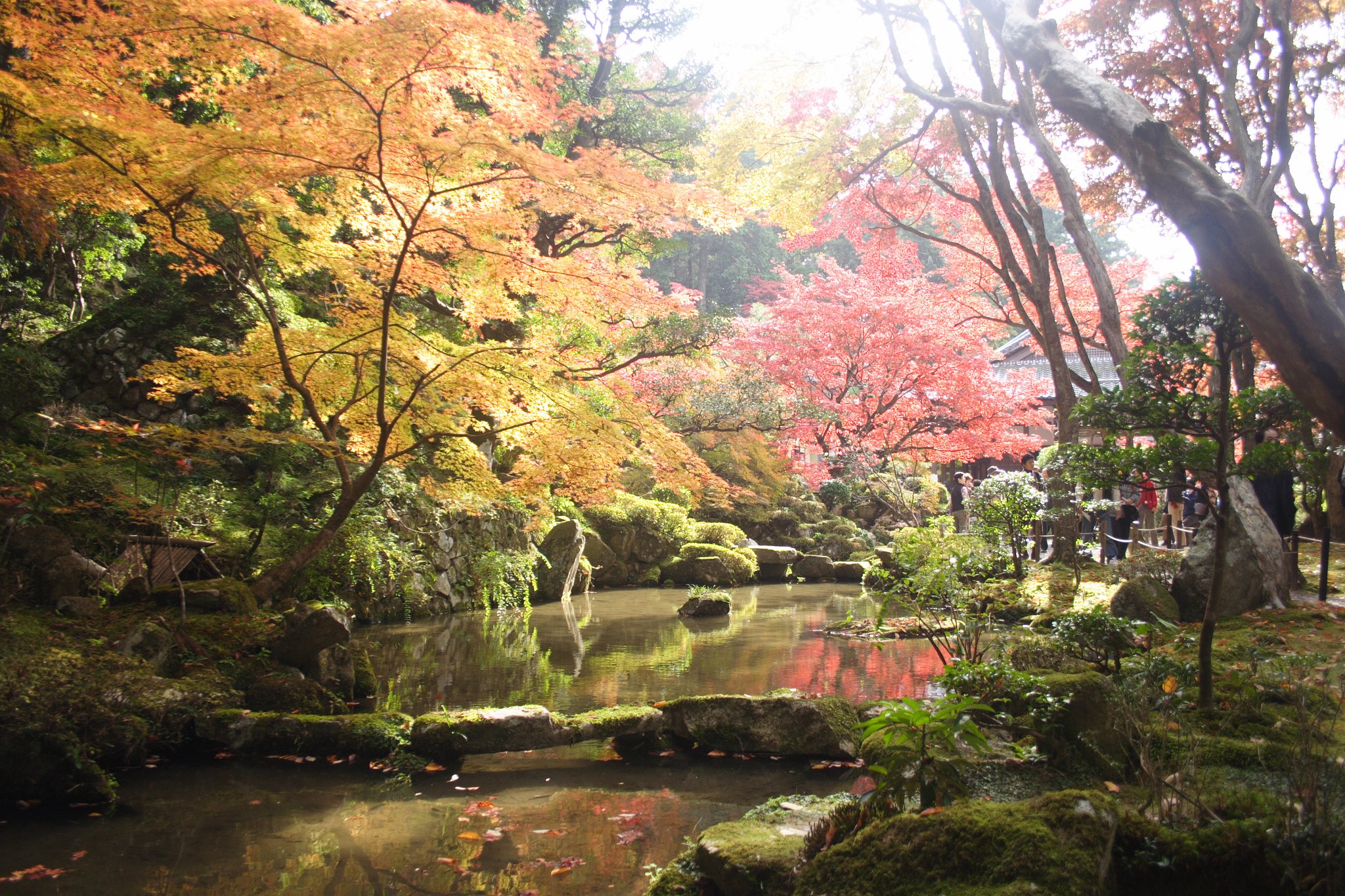 金剛輪寺の紅葉