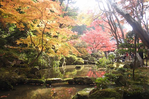 金剛輪寺の紅葉