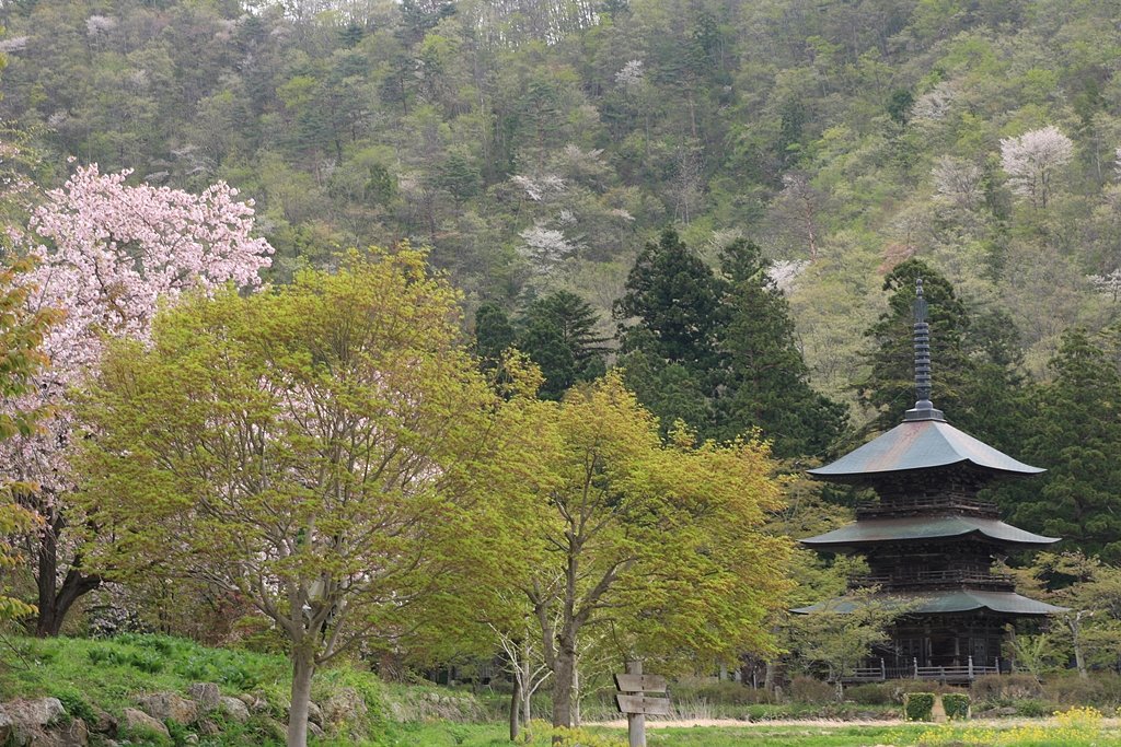 高畠の春