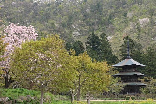 高畠の春