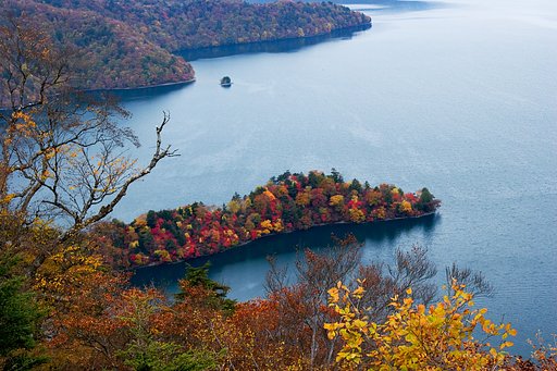 八丁出島の紅葉