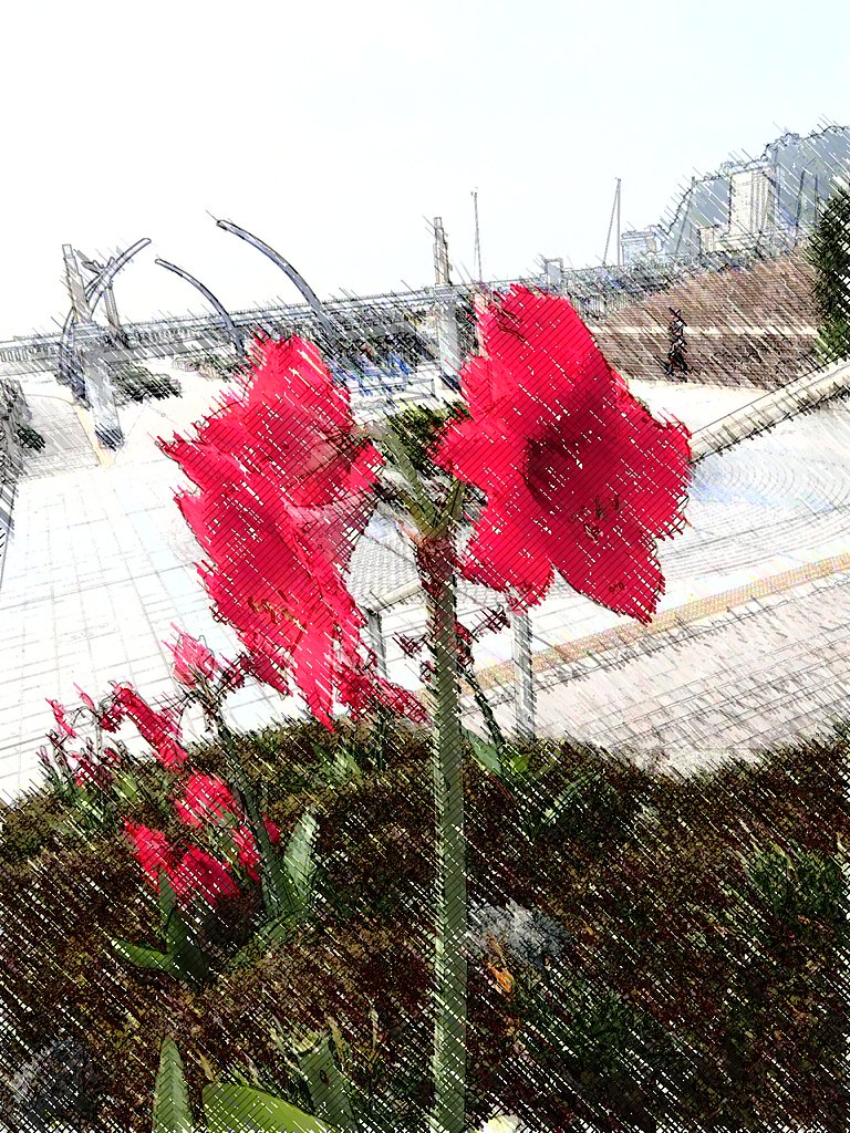 クレヨン画アマリリス
