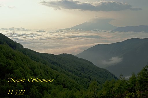 雲海に漂う若葉の香り