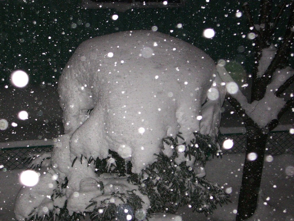 【う】ーっ大雪です
