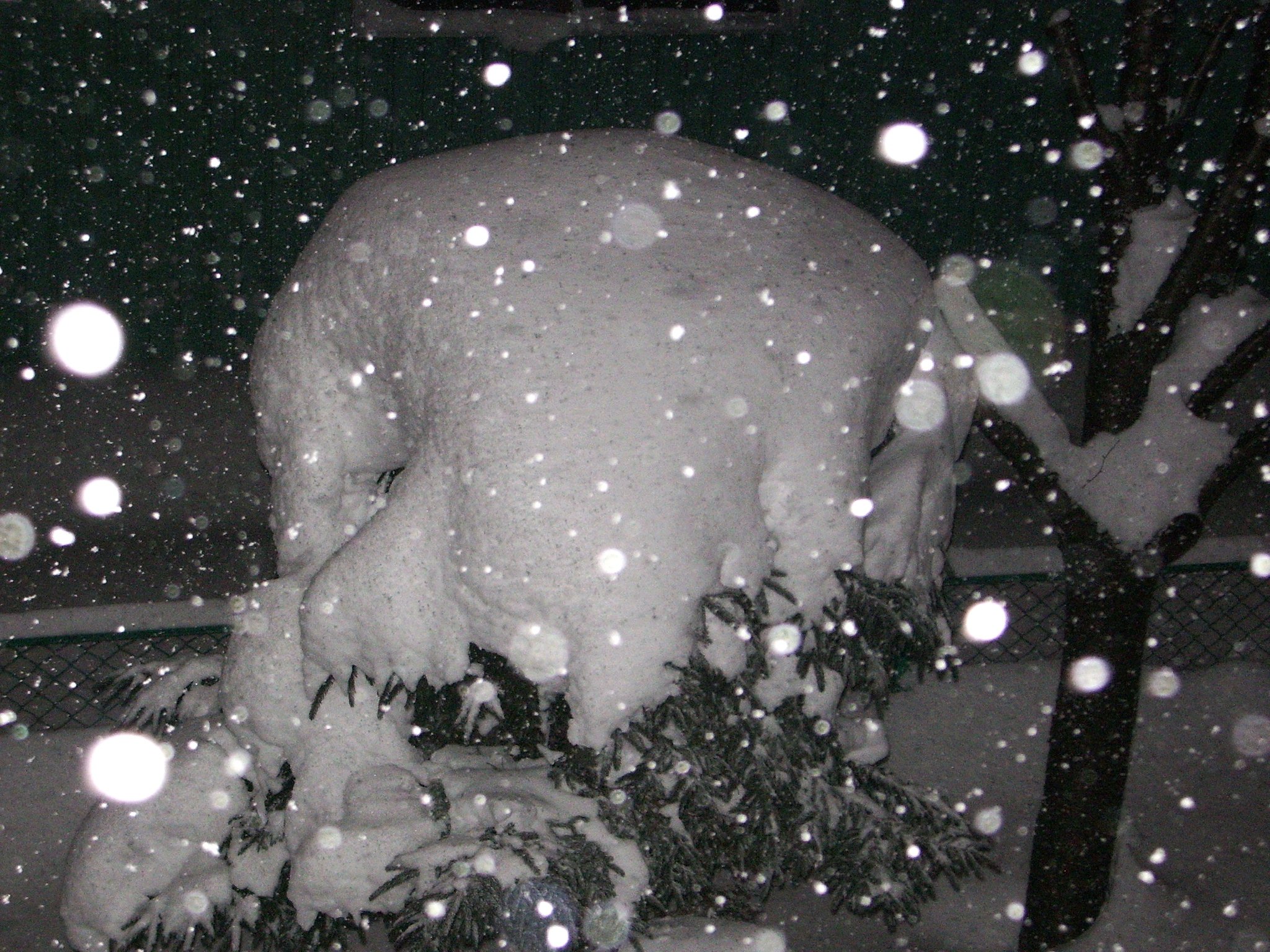 【う】ーっ大雪です