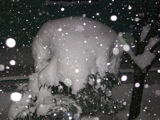 【う】ーっ大雪です