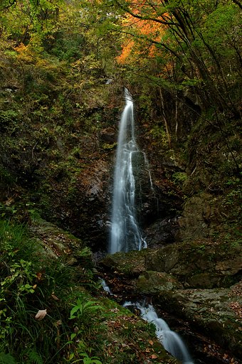 滝